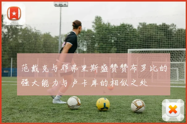 范戴克与邓弗里斯盛赞赞布罗比的强大能力与卢卡库的相似之处